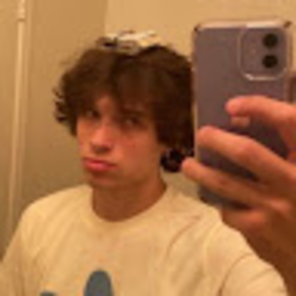 Meet your Posher, Daisy - Picture 1 of 1